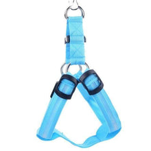 Load image into Gallery viewer, Store No. 320842 Blue / S LED Dog Harness - Discounted