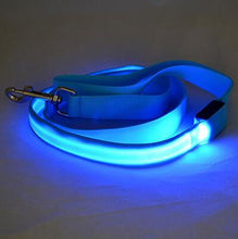 Load image into Gallery viewer, Store No. 320842 Blue / Width 25mm LED Dog and Cat Leash