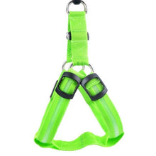 Load image into Gallery viewer, Store No. 320842 Green / L LED Dog Harness - Discounted