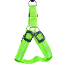 Load image into Gallery viewer, Store No. 320842 Green / L LED Dog Harness - Special Offer