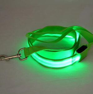 Store No. 320842 Green / Width 25mm LED Dog and Cat Leash