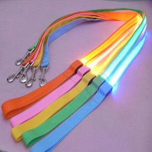 Store No. 320842 LED Dog and Cat Leash