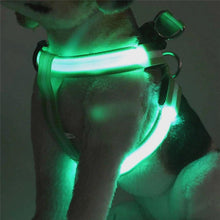 Load image into Gallery viewer, Store No. 320842 LED Dog Harness - Discounted
