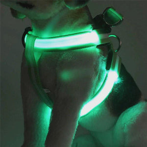 Store No. 320842 LED Dog Harness - Discounted