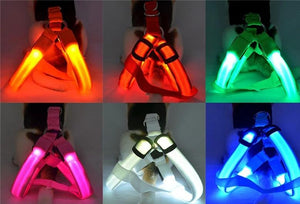 LED Dog Harness - Discounted