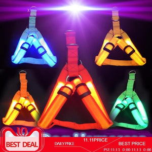 Store No. 320842 LED Dog Harness - Special Offer