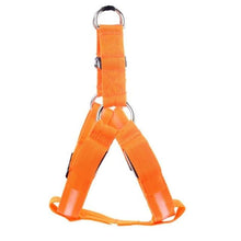 Load image into Gallery viewer, Store No. 320842 Orange / L LED Dog Harness - Discounted