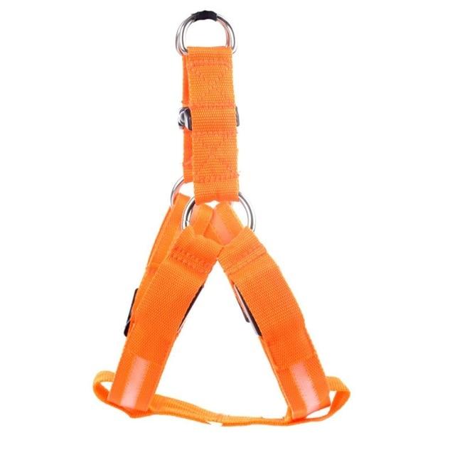 Store No. 320842 Orange / L LED Dog Harness - Discounted