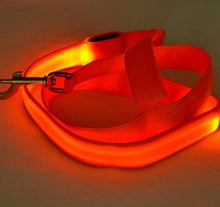 Load image into Gallery viewer, Store No. 320842 Orange / Width 25mm LED Dog and Cat Leash