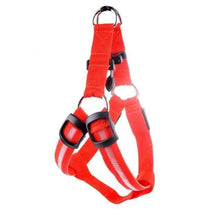Load image into Gallery viewer, Store No. 320842 Red / L LED Dog Harness - Special Offer