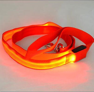 Store No. 320842 Red / Width 25mm LED Dog and Cat Leash