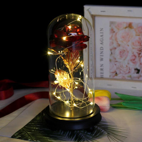 The KedStore Beauty and the Beast Eternal Flower Rose In Flask Decoration Artificial Flowers In Glass Cover