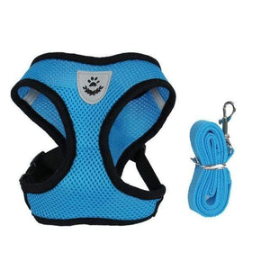 The KedStore Blue / S Vest for Cats & Small to Medium size Dogs - Adjustable with Walking Leash | TheKedStore