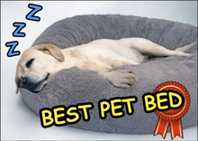 Load image into Gallery viewer, The KedStore Calming Dog Bed For Anxiety Relieving &amp; Cuddling Your Pet In Round Orthopedic Soft Long Plush Cat Dog Bed Cushion