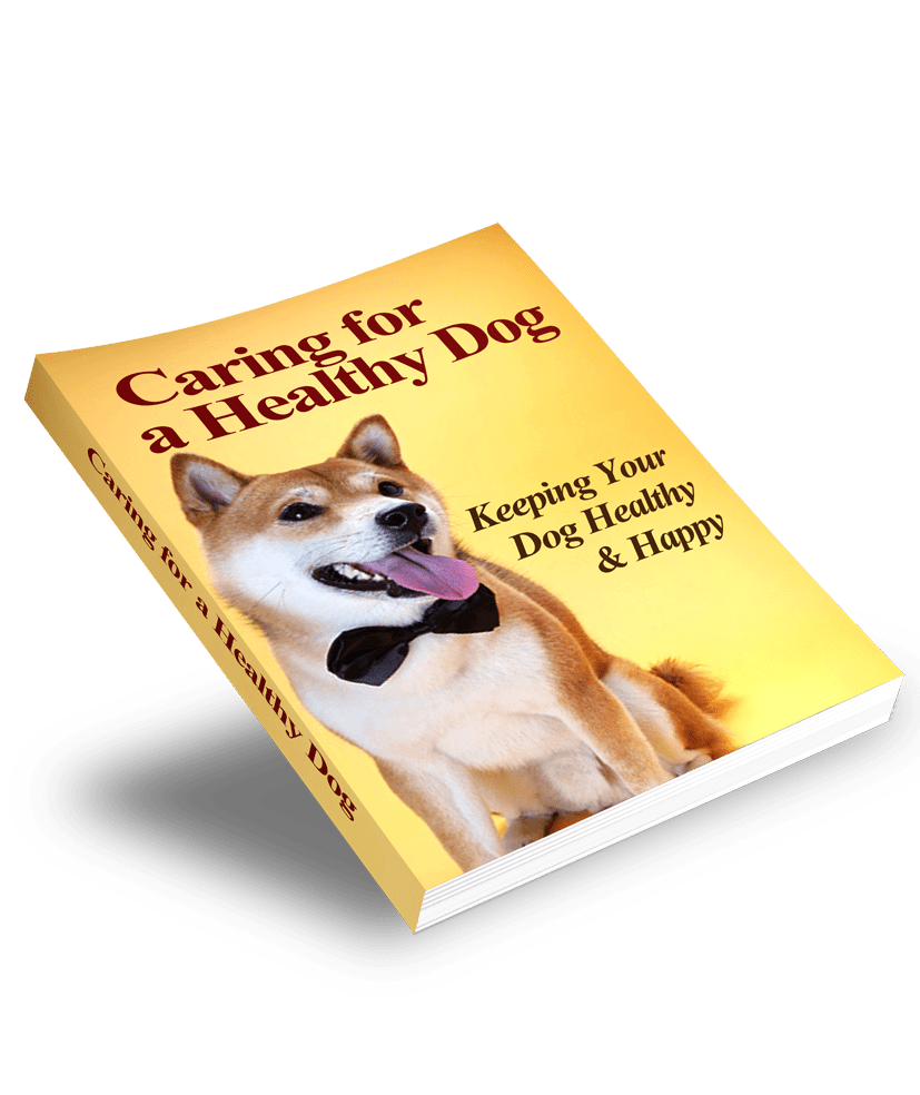 Caring for a Healthy Dog | Keeping your Dog Healthy & Happy