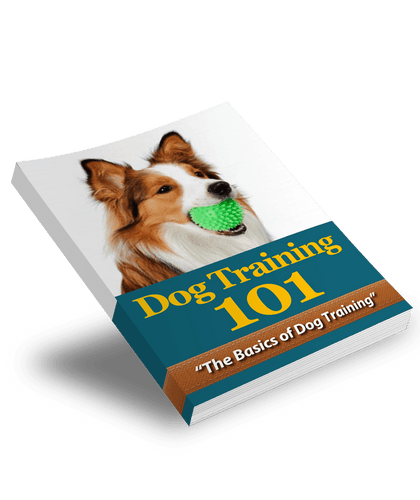 The KedStore Dog-Training-101