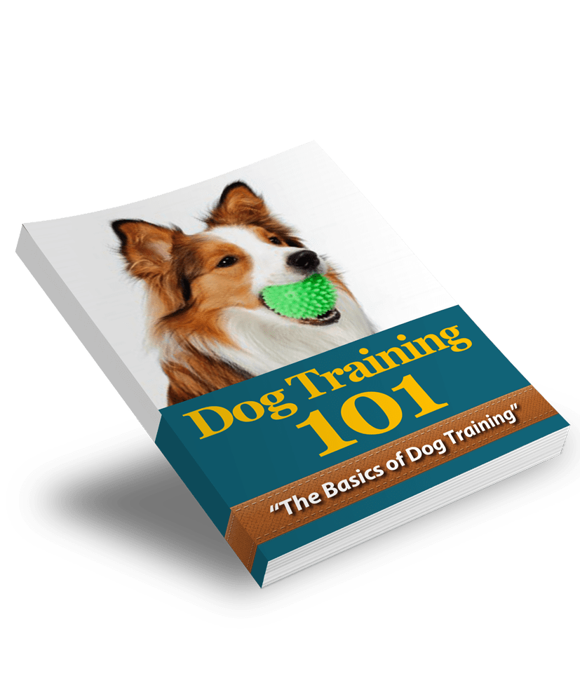 Dog-Training-101