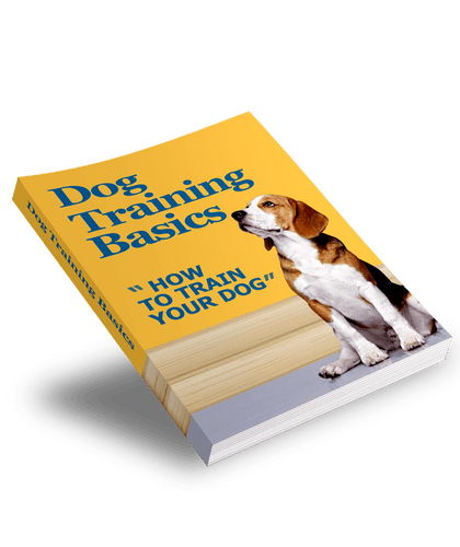 The KedStore ebook Dog-Training-Basics