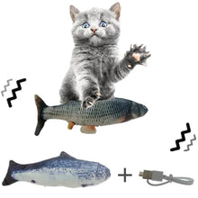 Load image into Gallery viewer, Electronic Pet Cat Toy Electric USB Charging Simulation Fish Toys For Dog Cat