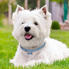 Load image into Gallery viewer, Exquisite Bling Crystal Dog Collar