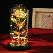 Load image into Gallery viewer, The KedStore Flat base / United States Beauty and the Beast Eternal Flower Rose In Flask Decoration Artificial Flowers In Glass Cover