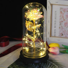 Load image into Gallery viewer, The KedStore Fulcrum base / United States Beauty and the Beast Eternal Flower Rose In Flask Decoration Artificial Flowers In Glass Cover