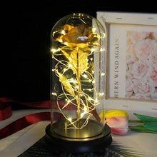 Load image into Gallery viewer, The KedStore Gold / United States Beauty and the Beast Eternal Flower Rose In Flask Decoration Artificial Flowers In Glass Cover