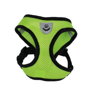 The KedStore Green / S Vest for Cats & Small to Medium size Dogs - Adjustable with Walking Leash | TheKedStore