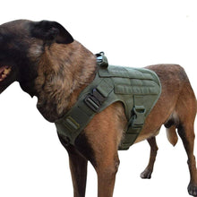 Load image into Gallery viewer, The KedStore MXSLEUT Tactical Dog Vest Breathable military dog clothes K9 harness adjustable size | TheKedStore