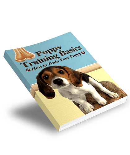The KedStore Puppy Training Basics