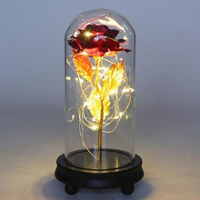 Load image into Gallery viewer, The KedStore Rose Red / United States Beauty and the Beast Eternal Flower Rose In Flask Decoration Artificial Flowers In Glass Cover