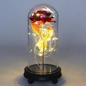 The KedStore Rose Red / United States Beauty and the Beast Eternal Flower Rose In Flask Decoration Artificial Flowers In Glass Cover