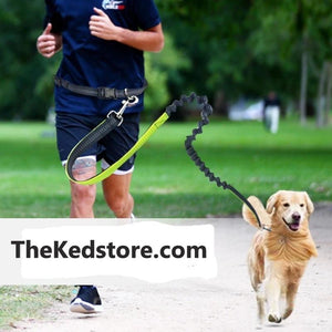 The KedStore Running Leash For Dogs with Elastic Waist Belt Strap for jogging, Hiking and Walking