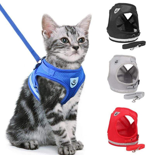 The KedStore Vest for Cats & Small to Medium size Dogs - Adjustable with Walking Leash | TheKedStore